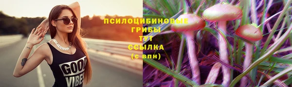 круглые Алзамай
