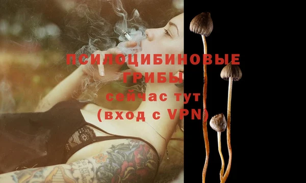 круглые Алзамай