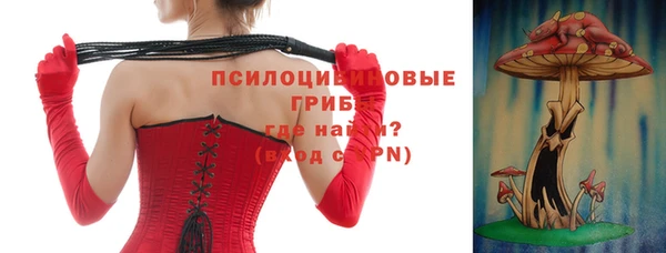 стаф Алексин
