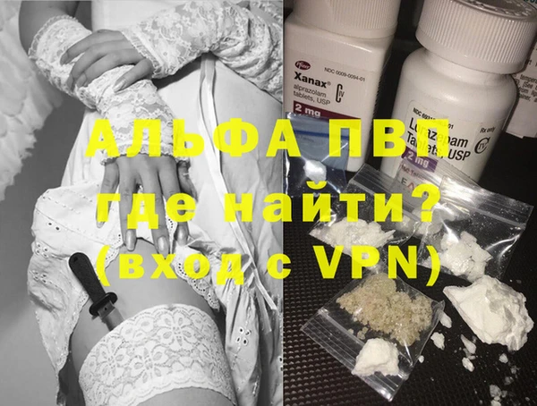 стаф Алексин
