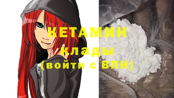 стаф Алексин