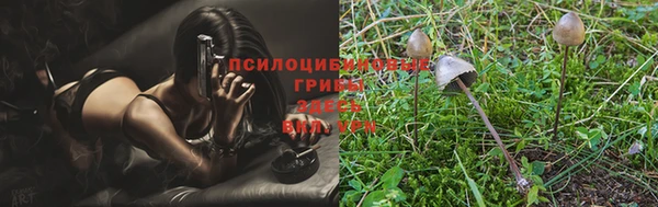 стаф Алексин