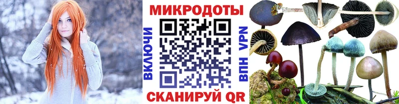 купить наркоту  Звенигово  Галлюциногенные грибы мицелий 