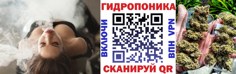 Каннабис OG Kush  Звенигово 
